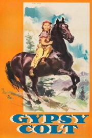Gypsy Colt Gypsy Colt