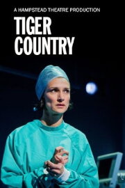 Hampstead Theatre At Home: Tiger Country Hampstead Theatre At Home: Tiger Country