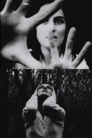 Hands of Purple Distances Hands of Purple Distances