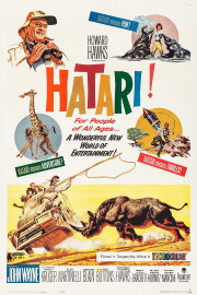 Hatari! Hatari!