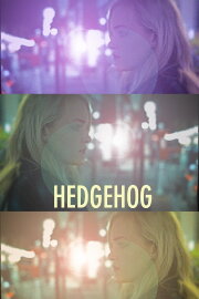 Hedgehog Hedgehog