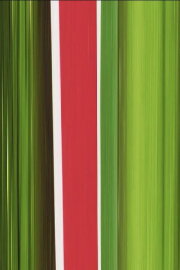Heineken Heineken