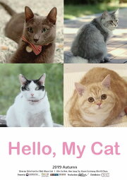 Hello, My Cat Hello, My Cat