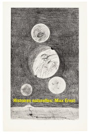 Histoires naturelles : Max Ernst
