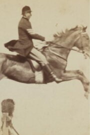 Horse and Rider Jumping Over an Obstacle Horse and Rider Jumping Over an Obstacle
