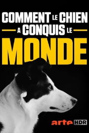 How dogs conquered the world
