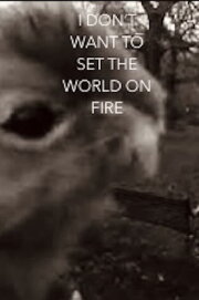 I Don't Want To Set The World On Fire