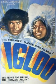 Igloo Igloo