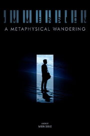 Immersion: A Metaphysical Wandering