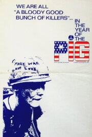 In the Year of the Pig