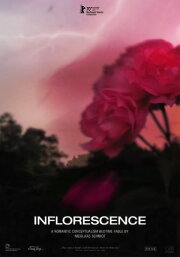 Inflorescence