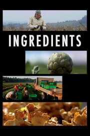 Ingredients Ingredients