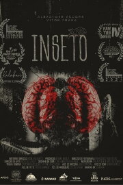Inseto
