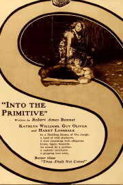 Into the Primitive Into the Primitive