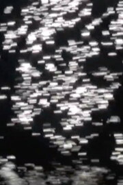 Invert and All That Is Solid Invert and All That Is Solid