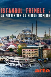 Istanbul tremble : La prévention du risque sismique
