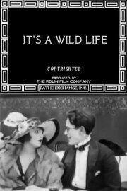 It's a Wild Life