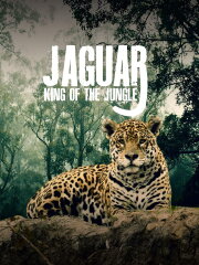 Jaguar: King of the Jungle