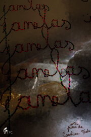 Janelas