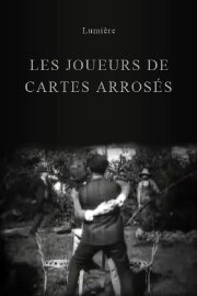Joueurs de cartes arrosés