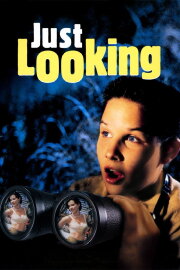 Just Looking Just Looking
