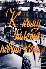 К кому залетел певчий кенар