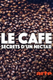 Kaffee - Geheimnisse eines Wundertranks