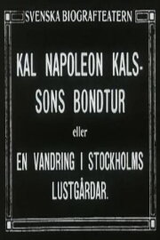 Kal Napoleon Kalsson's Stroke of Luck