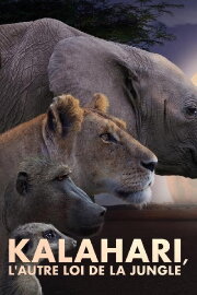 Kalahari, l'autre loi de la jungle