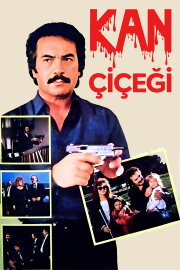 Kan Çiçeği Kan Çiçeği