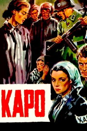 Kapo Kapo