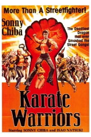 Karate Warriors Karate Warriors