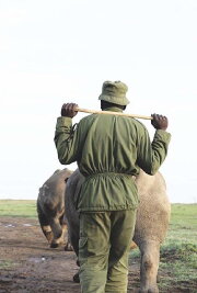Kifaru Kifaru