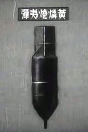Kyouryoku Boukuusen Kyouryoku Boukuusen
