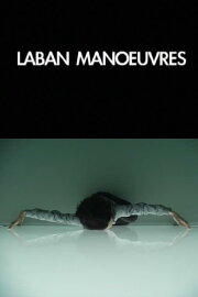 Laban Manoeuvres Laban Manoeuvres