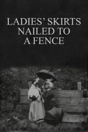 Ladies' Skirts Nailed to a Fence Ladies' Skirts Nailed to a Fence