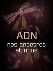 L'ADN, nos ancêtres et nous