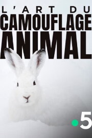 L'art du camouflage animal