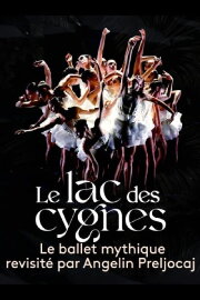 Le lac des cygnes au théâtre national de Chaillot