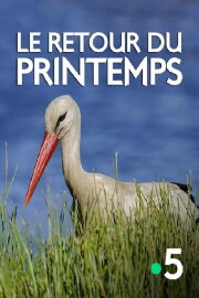 Le retour du printemps Le retour du printemps