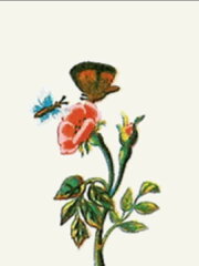 Les Papillons