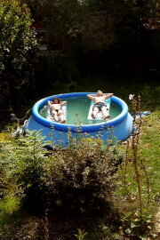 Les Vacances à Chelles