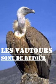 Les vautours sont de retour Les vautours sont de retour