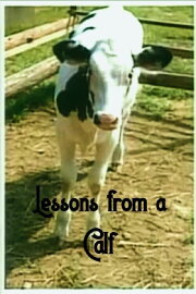 Lessons from a Calf