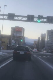 Letter from Sapporo