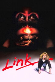 Link Link