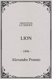Lion, London Zoological Gardens