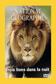 Lions Of Darkness