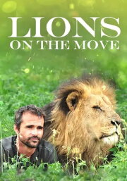 Lions on the Move