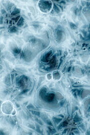 Liquid Landscape Liquid Landscape
